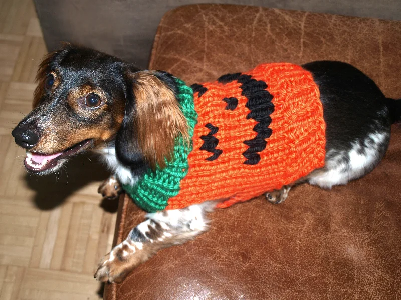 Jack O Lantern Dog Sweater Pattern (Knit) Long Sweater Short Sweater Cropped Sweater